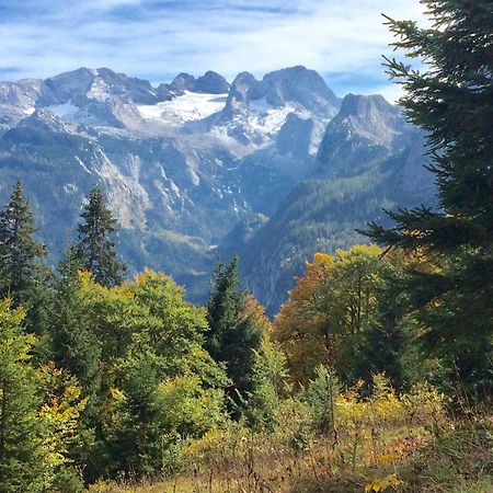 Appartement Dachstein Mountainview Gosau Extérieur photo