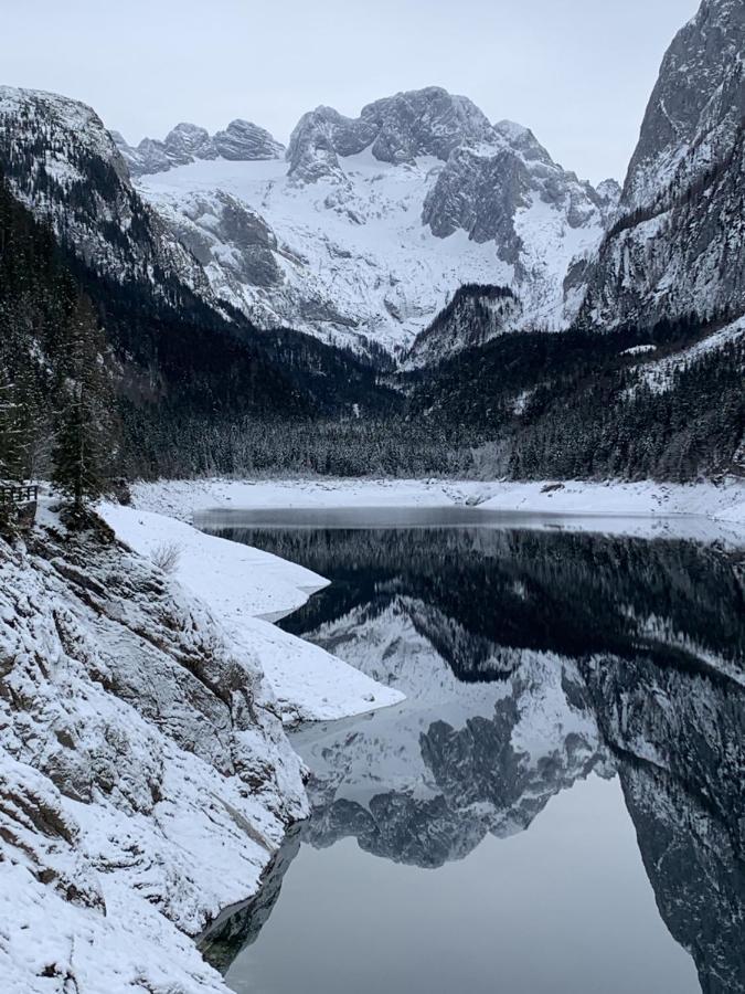 Appartement Dachstein Mountainview Gosau Extérieur photo