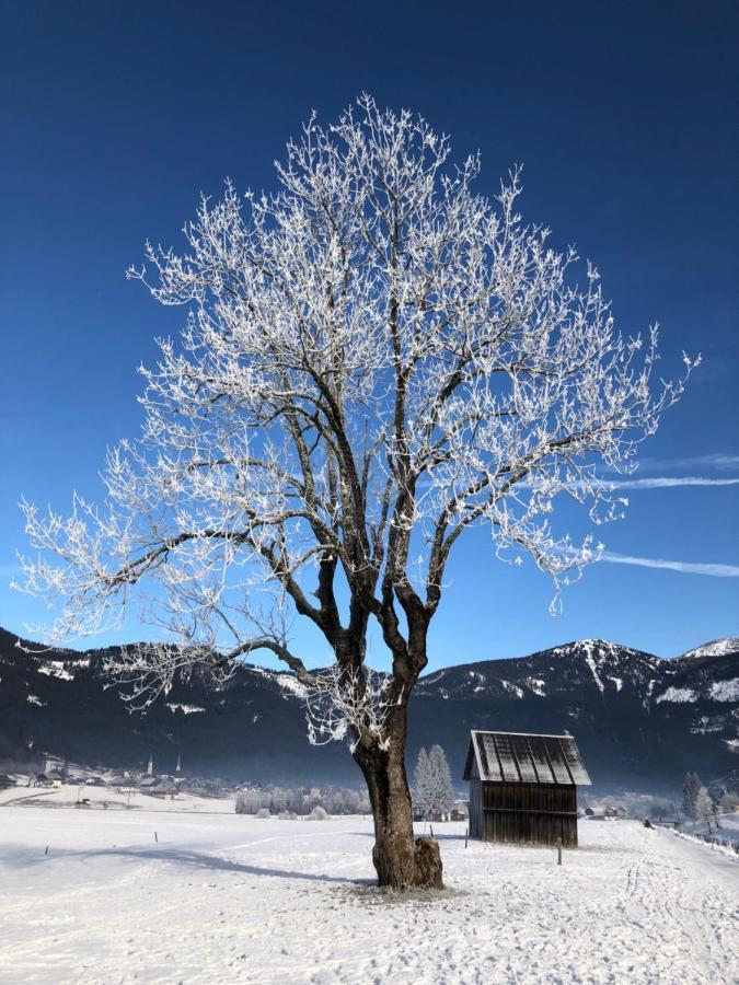 Appartement Dachstein Mountainview Gosau Extérieur photo