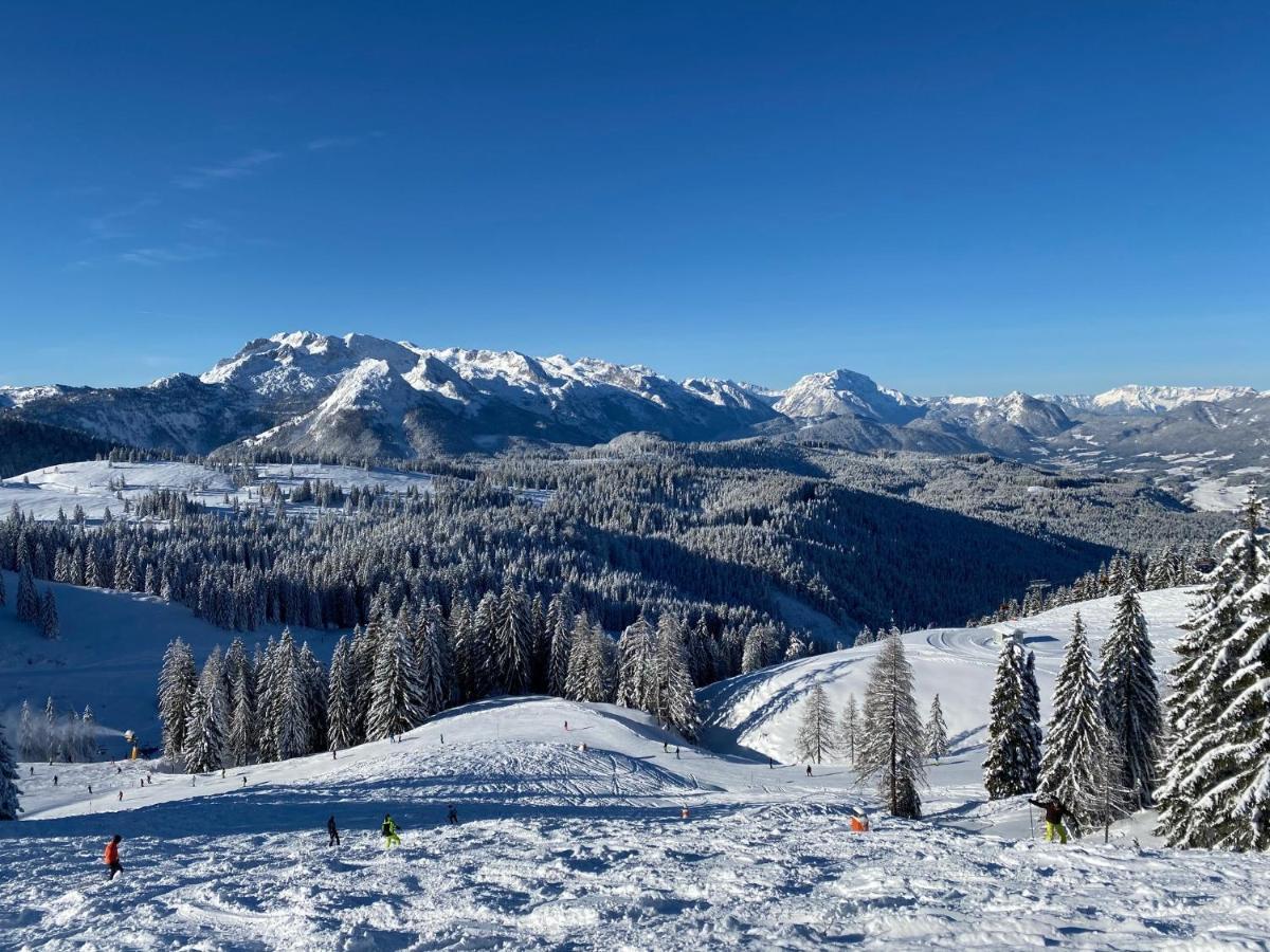 Appartement Dachstein Mountainview Gosau Extérieur photo